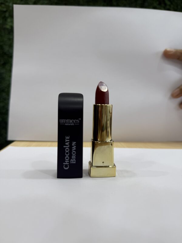 Bullet Lipstick - Chocolate Brown